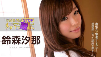 030615-822 無修正 カリビアンコム
交通機関がSTOP！帰宅難民！ 〜美人OLが上司の愛撫を受け入れる〜